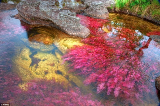 แม่น้ำ 5 สี the river of five colors ที่เดียวในโลก