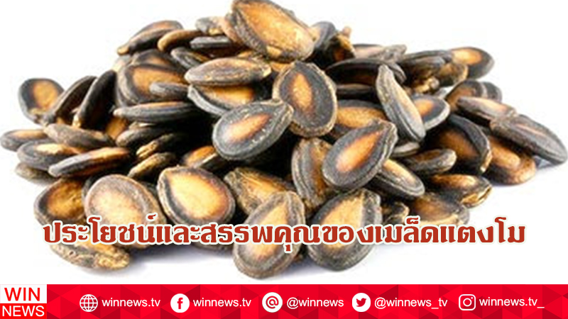 ประโยชน์และสรรพคุณของเมล็ดแตงโม ต่อสุขภาพ