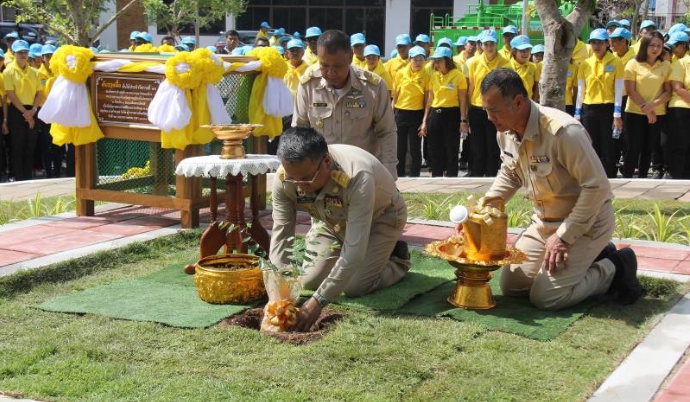 ทั่วไทยพร้อมใจกันปลูก "ต้นรวงผึ้ง" ต้นไม้มงคลพระราชทาน