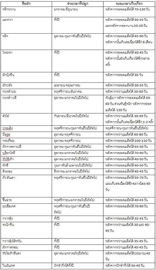 ต้องอ่าน ! ใน 12 เดือน ควรปลูกผักอะไร ให้เหมาะสมตามฤดู