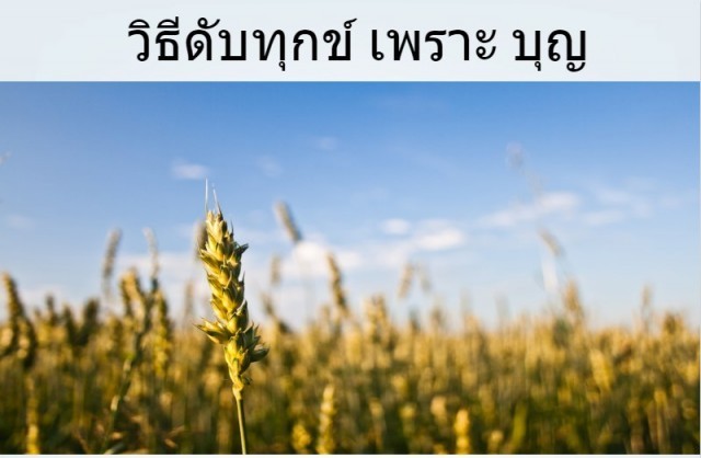 วิถีทางแห่งการดับทุกข์ในแบบต่างๆ