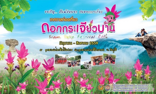 ความงามในป่าหน้าฝน "เทศกาลท่องเที่ยวดอกกระเจียวบาน" ณ อุทยานแห่งชาติป่าหินงาม