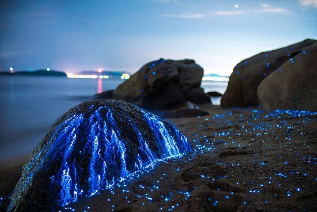 อัศจรรย์!!! "ทะเลเรืองแสง ก้อนหินร้องไห้" ความสวยงามอันน่าทึ่งในประเทศญี่ปุ่น