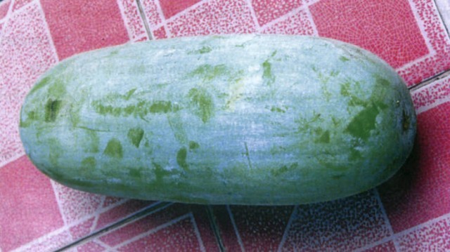 "ฟักเขียว" กับวิธีแก้กลิ่นตัวแรง