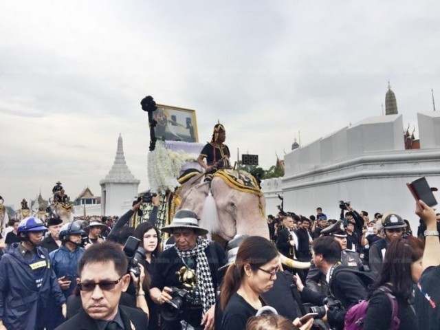 ช้างพลายมงคลจำนวน 11 เชือก ประดับด้วยคชาภรณ์แบบช้างศึก เข้าถวายสักการะพระบรมศพ ในหลวง ร.9