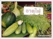 ปรับสมดุลและสร้างสุขภาพดี ด้วยการกินอาหารตามธาตุเจ้าเรือน (ธาตุดิน น้ำ ลม ไฟ)