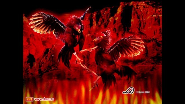 พระพุทธเจ้าตรัสแก่พระภิกษุถึงการเกิดของสัตวโลกว่า มี ๔ ประเภท